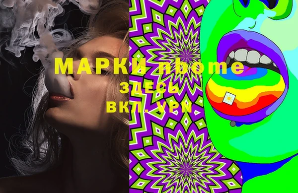 твердый Аркадак