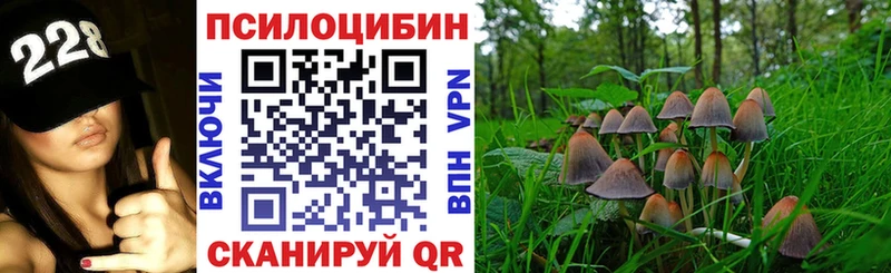 где можно купить   Урай  Псилоцибиновые грибы Psilocybine cubensis 